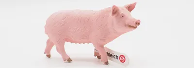 A pink toy pig on a white background.