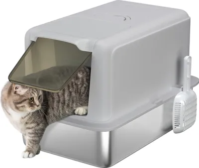 A cat is partially inside a gray litter box with a clear flap door. A white litter scoop is attached to the side of the litter box.