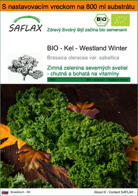 Obrázok produktu pre SAFLAX Garden in the bag - BIO - Kel - Westland Winter - Brassica oleracea var. sabellica - 70 Semená - S pestovateľským substrátom v praktickom samostaviteľnom vrecku