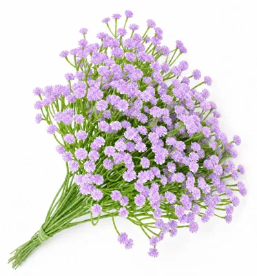 Künstliches Schleierkraut, 15 Stück, 29,5 cm, lila, für Vasen & Deko