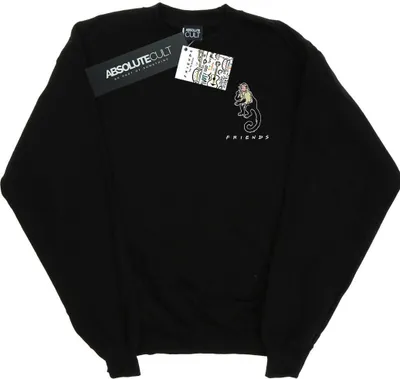Produktbild von Friends - Sweatshirt für Herren BI24716 (S) (Schwarz)