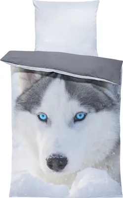 Produktbild von Bettwäsche 135x200 cm und 80x80 cm Mikrofaser Bettbezug Fotodruck modern, Farbe:Schnee Hunde Husky grau, Größe:4 teilig 135x200 cm