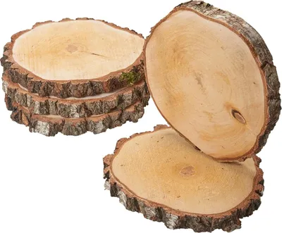 Produktbild von Grosse Baumscheiben 5 Stk. Dekoholz Holzscheiben Holzplatten 30 cm
