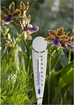 Image de TFA zegarek 12.2056.60