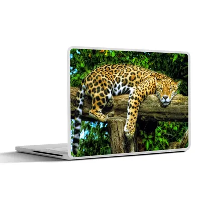 Produktbild von MuchoWow® Laptop Aufkleber Sticker Cover Tiere - Tropisch - Jaguar 40x30 cm - Laptop Dekoration - Selbstklebend