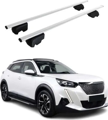 Obrázek produktu pro Střešní nosič pro Peugeot 2008 2019-2023 Základní nosič kovový stříbrný ABE 2x