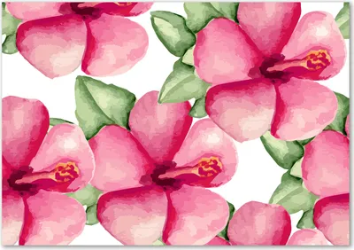 Produktbild von Tulup® Glas-Bild - 100 x 70 - Wandbild aus Glas - Wandkunst - Wandbild hinter gehärtetem Sicherheitsglas - Blumen & Pflanzen - Tropische Blumen - Rosa