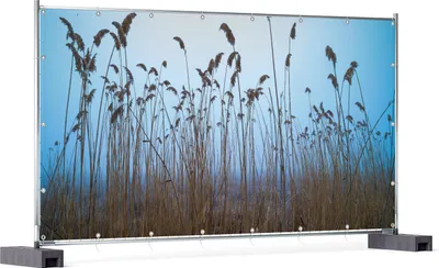 Produktbild von Wallario XXL Outdoor-Poster für Garten oder Balkon, Motiv Schilfrohr am See vor blauem Himmel, in ca. 340 x 173 cm