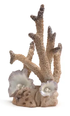 Produktbild von biOrb Korallen Ornament groß (46118)