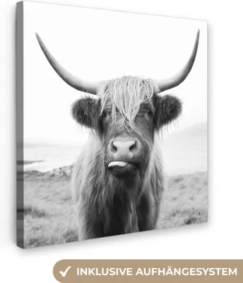 Obrázok produktu pre MuchoWow® - Plátno - Zvieratá - Škótsky horal - Krava - Čierna - Biela, fototapeta, nástenné dekorácie obrazy obývacia izba, 90x90cm