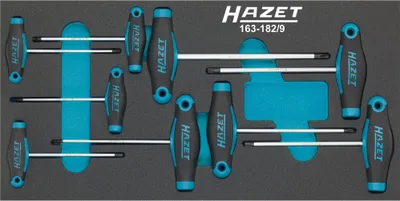 Produktbild von HAZET 163-182/9 T-Griff TORX® Schraubendreher-Satz (1/3)