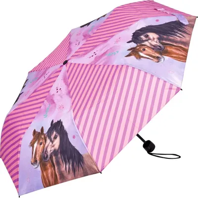 Produktbild von Coppenrath Verlag Taschenschirm