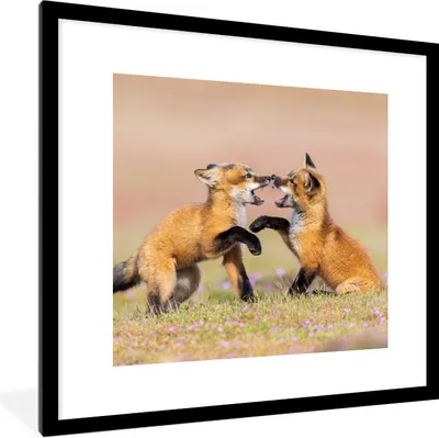 Produktbild von MuchoWow® Gerahmtes Poster Füchse - Blumen - Porträt 40x40 cm - Poster mit Schwarzem Bilderrahmen Wandposter Rahmen Foto Bilder - Poster - Plakat im Rahmen