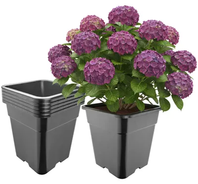 Produktbild von Garronda 5er-Set hohe quadratische Kunststoff-Blumentöpfe mit Drainagelöchern, Schwarz, 33 x 33 x 34 cm, 25 L GD-KW-HS