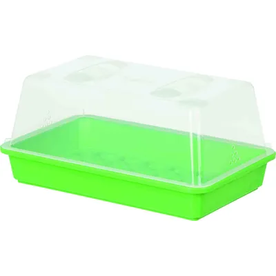 A clear studio shot of a green seed tray with a clear plastic lid.