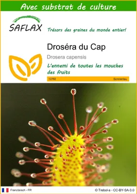 Image de SAFLAX  - Droséra du Cap - 200 graines - Avec substrat - Drosera