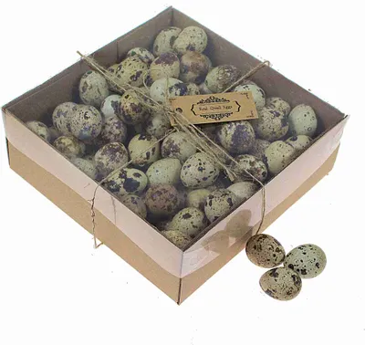 Produktbild von 100 echte Wachteleier ausgeblasen 3cm Deko Bastel Eier Ostern Ostereier leer