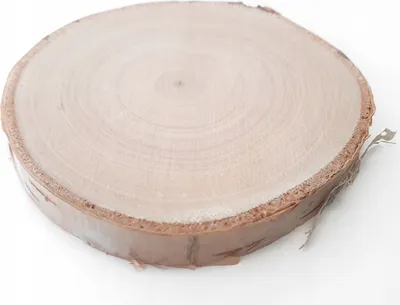 Immagine prodotto di Sottobicchiere a disco in legno di betulla per tazza