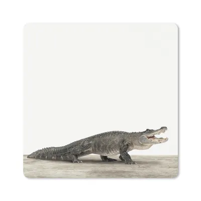 Produktbild von MuchoWow® Mauspad Mousepad Kinder - Krokodil - Junge - Kinder - Mädchen 20x20 cm - Mousepads - Maus Mat - Pad - Mausunterlage - Desk Mat - Bureauartikeln