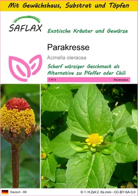 Produktbild von SAFLAX Anzucht Set - Parakresse - Acmella oleracea - 500 Samen - Mit Mini-Gewächshaus, Anzuchtsubstrat und 2 Töpfen