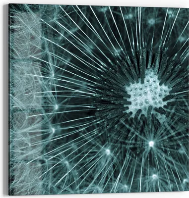 Produktbild von DEQORI Glasbild Echtglas 50x50 cm 'Mystische Blüte' Wandbild Bild modern Deko