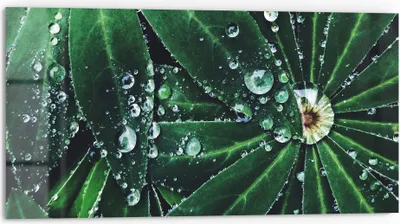 Produktbild von DEQORI Küchenrückwand Glas 80x40 cm 'Wasserperlenverzierung' Spritzschutz Bad Rückwand