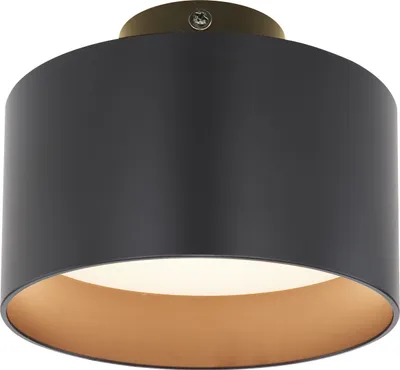 Productafbeelding van Plafondlamp Jenny zwart Ø 14cm