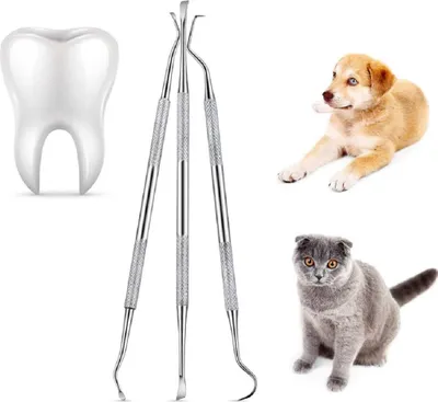 Produktbild von COOL-i® Tier-Zahnpflegeset – 3-teiliges Edelstahl-Werkzeug für Hunde & Katzen – zur Entfernung von Zahnstein & für die regelmäßige Maulpflege