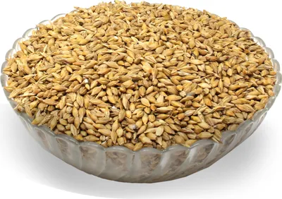 Produktbild von LanDixx Gerste 25 kg Futtergerste Landgerste Geflügelfutter Vogelfutter Hühner gereinigt