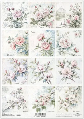 Produktbild von ITD Reispapier Decoupage Bastelpapier Serviettentechnik-R2606 Blumen Rosen Pfingstrosen Apfelblüten Magnolie