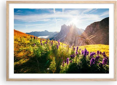 Produktbild von Gerahmtes Poster - Rahmen in heller Eiche - Berge Wiese Blumen - 70x50 cm - Wand Bild - Wanddeko - Wandbilder - Wandposter - Bilderrahmen - Bilder - Kunstdruck - Wandbild - P2NAA70x50-4008