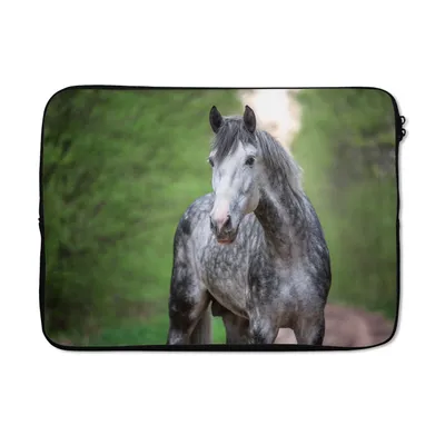 Produktbild von MuchoWow® Laptop Hülle 14 ZollPferd - Wald - Porträt Laptoptasche - Laptoptasche - Stoßsicher - Schutzhaube