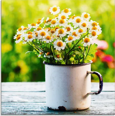 Produktbild von ARTland Glasbild Frühlingsgarten mit Echter Kamille Größe: 40x40 cm
