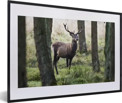 Produktbild von MuchoWow® Gerahmtes Poster Hirsche - Bäume - Gras 60x40 cm - Poster mit Schwarzem Bilderrahmen Wandposter Rahmen Foto Bilder - Schlafzimmer - Plakat in Rahmen - Drucken