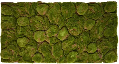 Image de Fond de terrarium 116 x 58 cm, effet 3D, imitation de mousse, pour terrarium