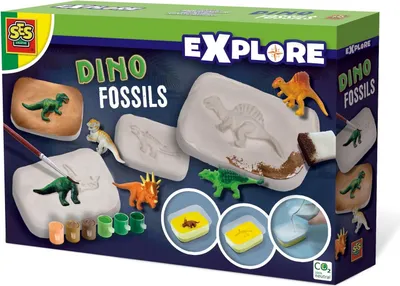 Zdjęcie produktu dla Skamieniałości dinozaurów