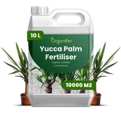 Obrázek produktu pro Tekuté Hnojivo pro Yucca Palmy 10 L – 2-1-8 NPK – Pro Yucca Palmy – Pro Optimálny Růst, Odolnosť & Vitalitu – Organifer