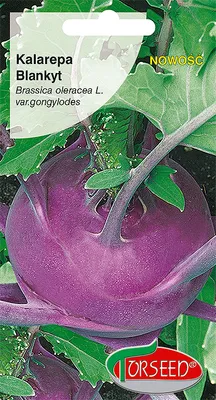 Produktbild von Kohlrabi Samen Blanket 1g - Torseed