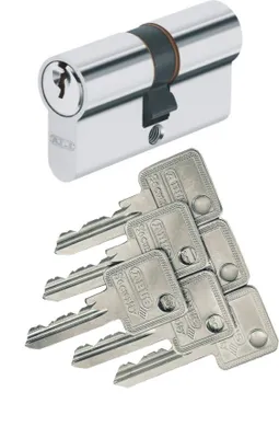 A silver cylinder lock with a black band and a set of six silver keys are displayed against a white background.