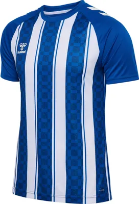 Produktbild von Hummel hmlMatch Striped Jersey