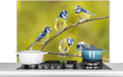 Produktbild von KitchenYeah®  Spritzschutz Küche - Küchenrückwand - Wandschutz für Herd und Spüle - Vogel - Blaumeise - Äste - Sonne 100x65 - Alu-Dibond (Alternative zum Spritzschutz aus Glas) - Hitzebeständig - Herd