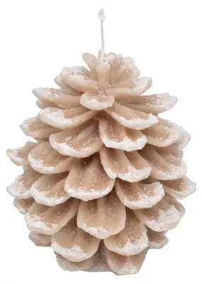 Produktbild von Kerze Zapfen, 15,5 cm