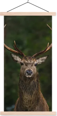 Produktbild von MuchoWow® Textilposter Hirsch - Geweih - Natur 60x120 cm mit holzfarbenen Rahmen - Holz