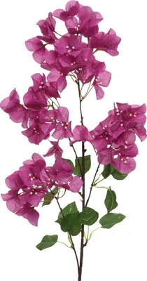 Produktbild von EVERLANDS Bougainvillea Pink & Weiß  100 cm - Kunstblumen