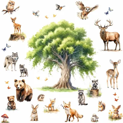 Produktbild von 247 Wandtattoo Waldtiere Aquarell - Größe 2000 x 1120 mm