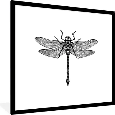 Produktbild von MuchoWow® Gerahmtes Poster Libelle - Insekten - Retro - Schwarz und weiß 40x40 cm - Poster mit Schwarzem Bilderrahmen Wandposter Rahmen Foto Bilder - Mit Rahmen - Wanddekoration Schlafzimmer