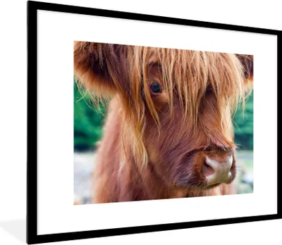 Produktbild von MuchoWow® Gerahmtes Poster Schottischer Highlander - Braun - Kalb 80x60 cm - Poster mit Schwarzem Bilderrahmen Wandposter Rahmen Foto Bilder - Schlafzimmer-Dekorationen - Fotoposter