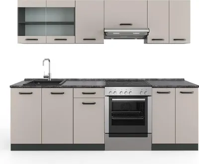 A modern kitchen unit with cabinets, a sink, a faucet, and a stove against a white background.