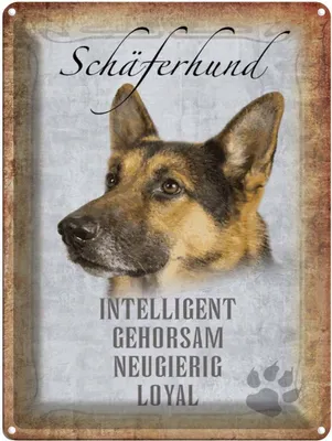 Produktbild von vianmo Blechschild 40x30 cm Schäferhund Hund