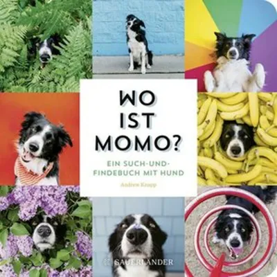 Produktbild von Wo ist Momo?